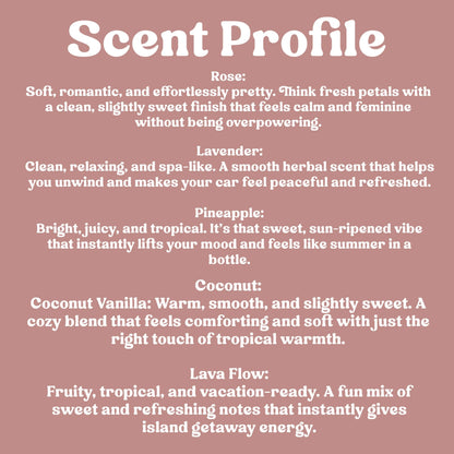 Car Air Freshener | Assorted Scents